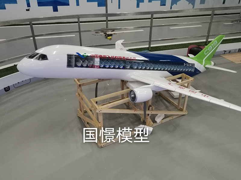 桐梓县飞机模型